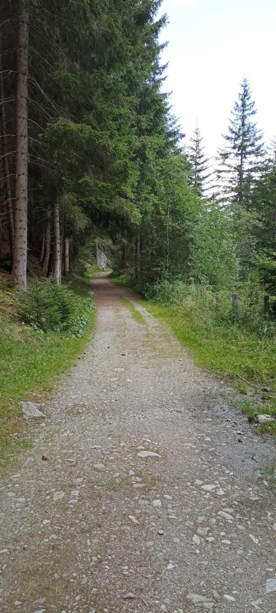 Ferienwohnung Hohengassner Mariapfarr Esterno foto